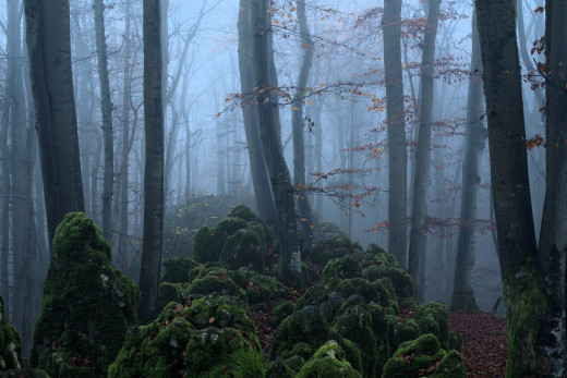 �1752118 �������(a): ����������:1920x1280